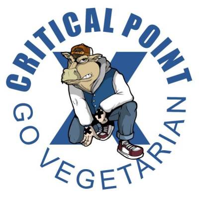 logo Critical Point